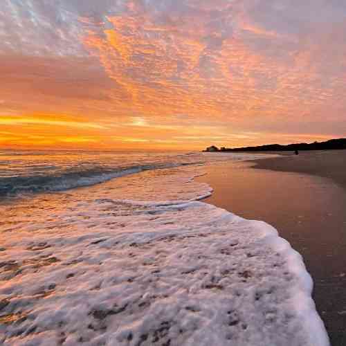صالح بهمنش هر جا که توانم هر جا بتوانم